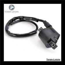 Bobina Accensione Per Yamaha