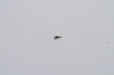 BREITLING NAVITIMER JUPITER