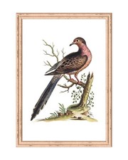 Illustrazione stampa artistica