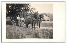 c1910's Horses Carriage Scene
