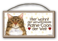 MAIN-COON - HOLZSCHILD +