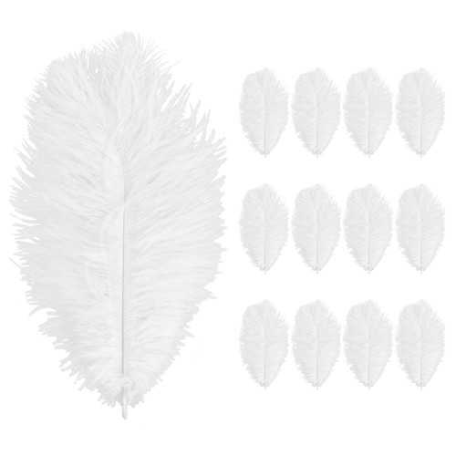 Anseom piume struzzo - piume, di