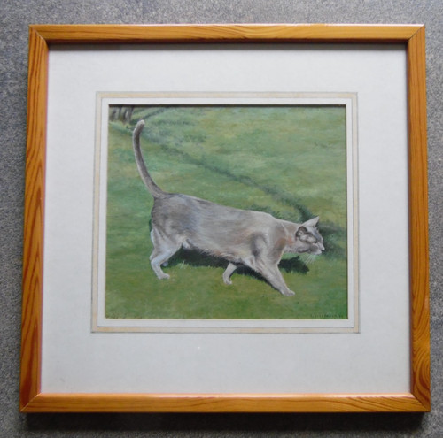 Soffice gatto grigio - , in