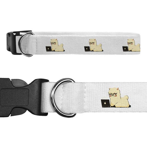 Collari per cani carini - collari,