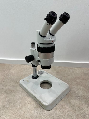 Wild heerbrugg m7a microscopio - heerbrugg,