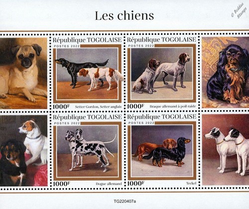 Cani english gordon - &,