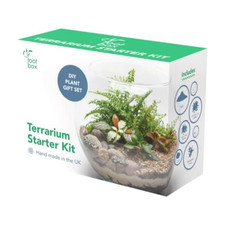 Root Box XL Kit Piante da