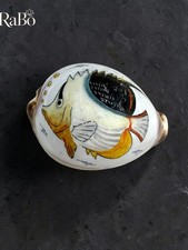 Ciprea tiris dipinta mano - a,