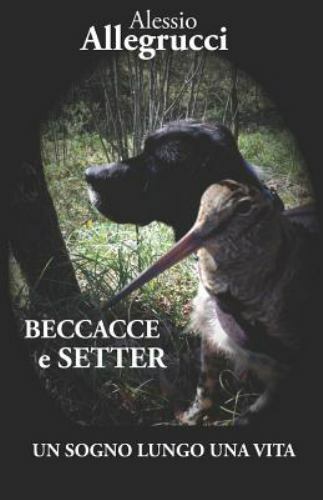 Beccacce setter un sogno - setter:,