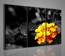 QUADRI MODERNI BLACK COLOR
