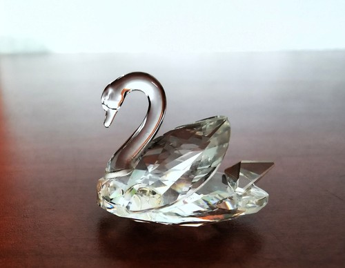 Swarovski cigno piccolo - swarovski,