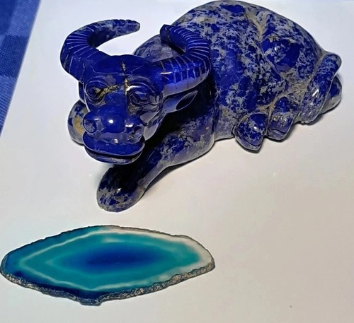Bufalo acqua lapislazzuli - bufalo,