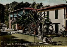 145783d vecchia cartolina