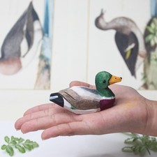 Ornamento di Anatra Creativo E