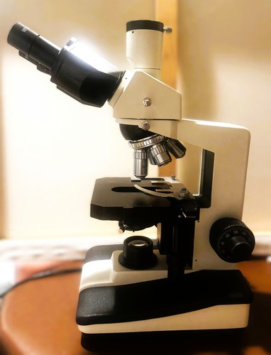 Microscopio composto verticale