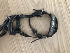 Cavallo Finimenti Da Collezione In Miniatura