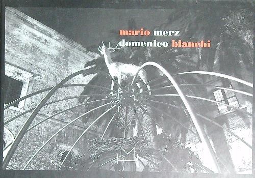 Mario merz domenico bianchi - mario,