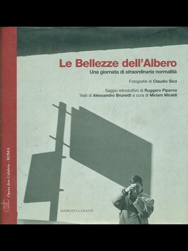 Bellezze dell albero - bellezze, dell'albero