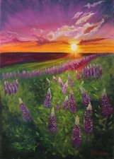 Lupins at Sunset Painting