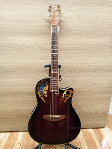 Chitarra acustica elettrica