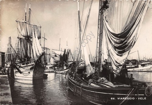 Cartolina nave viareggio - nave,