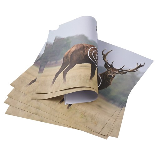 10pcs tiro con arco - con, l'arco