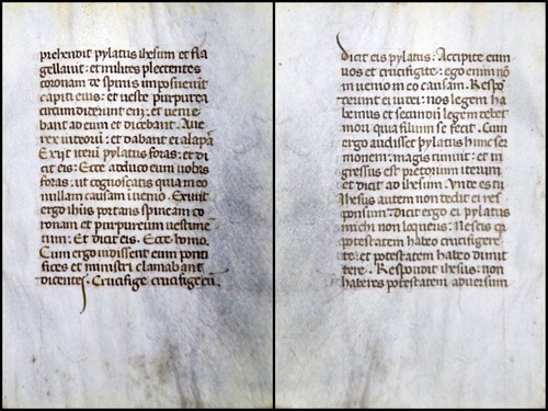 Grafia pergamena foglia - foglia, di