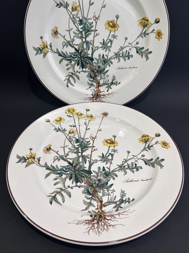 Villeroy boch botanica - 2,