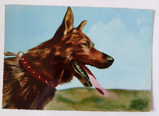 CARTOLINA CANE PASTORE - C2-a