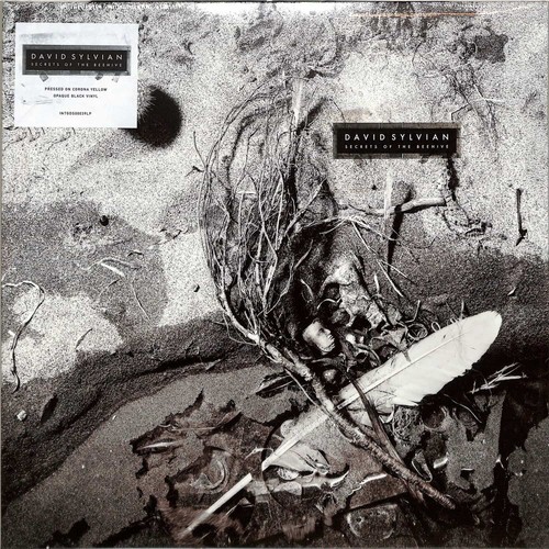 David sylvian secrets - david, /