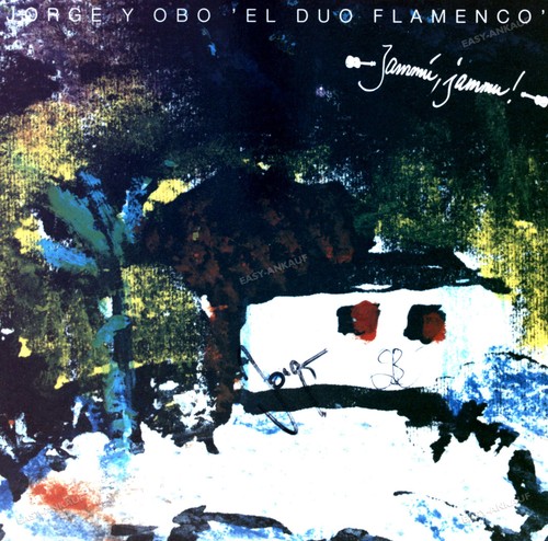 Jorge obo el duo flamenco - y,