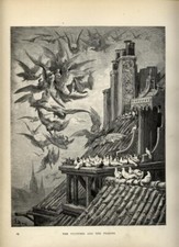 1880 stampa antica avvoltoi e - stampa,
