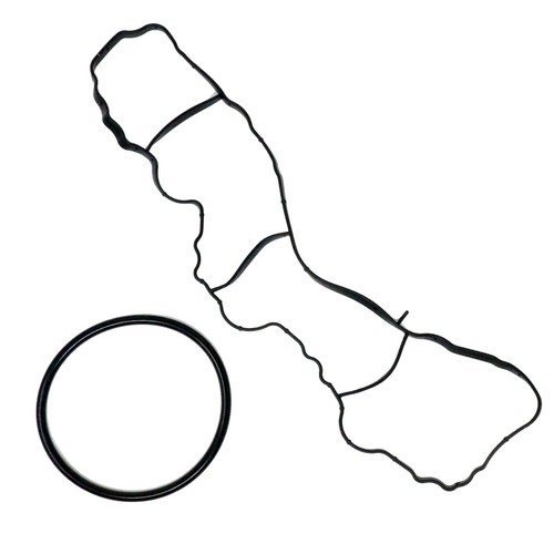 Guarnizioni collettore