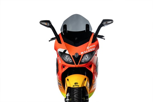 Malossi 4513099 cupolino sport - malossi,