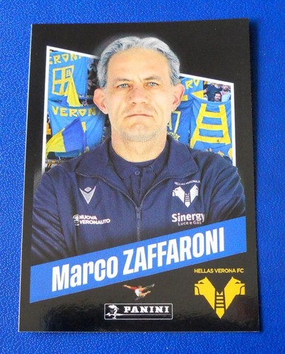 Figurina panini calciatori - figurina,