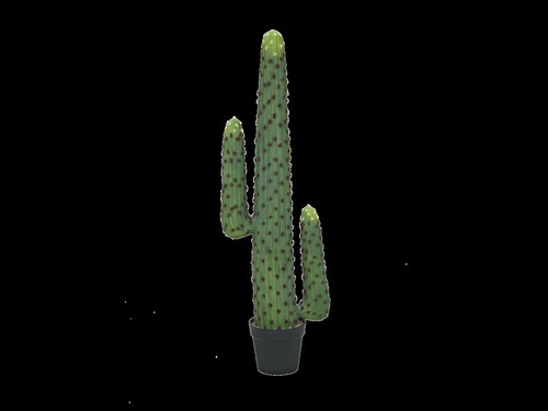 Cactus messicano artificiale - cactus,