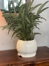 SUPERBE CACHE POT ROSENTHAL