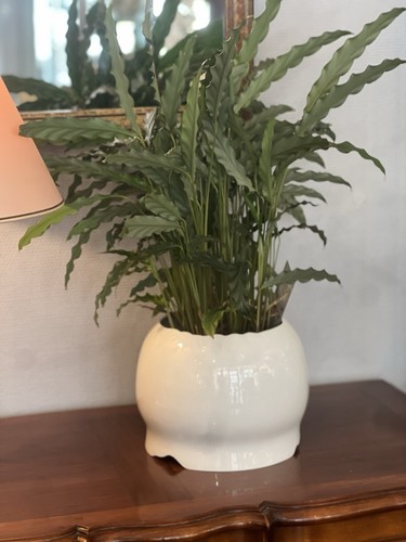 Superbe cache pot - cache, rosenthal
