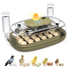 Incubatrice per uova