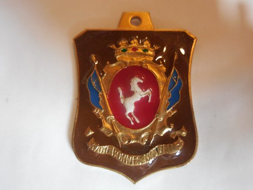 Medaglia reggimento savoia - medaglia, 3