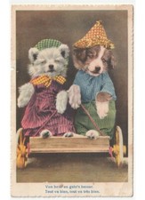 1948 cani vestiti umanizzati