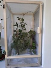 Teca terrario insetti rettili