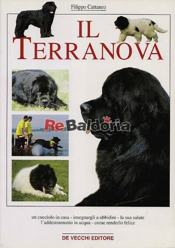 Terranova vecchi - il, de