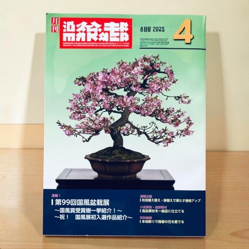 Monthly modern bonsai 2025 - modern,