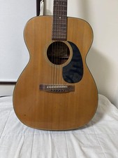Chitarra acustica Takamine