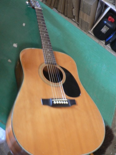Hashimoto w315 chitarra - hashimoto,