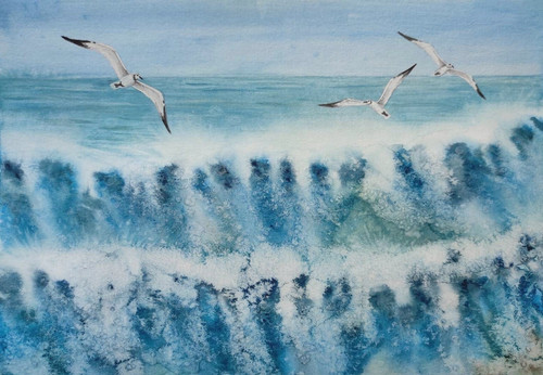 Bird seagalls sea - sea, opera