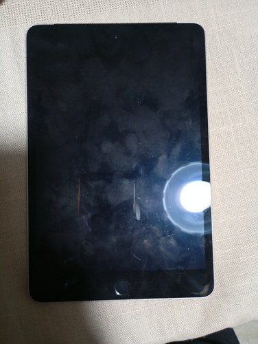 Apple ipad mini - ipad,