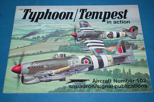 Typhoon tempest action - typhoon/tempest, in