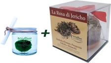 Rosa di Jericho e Marimo
